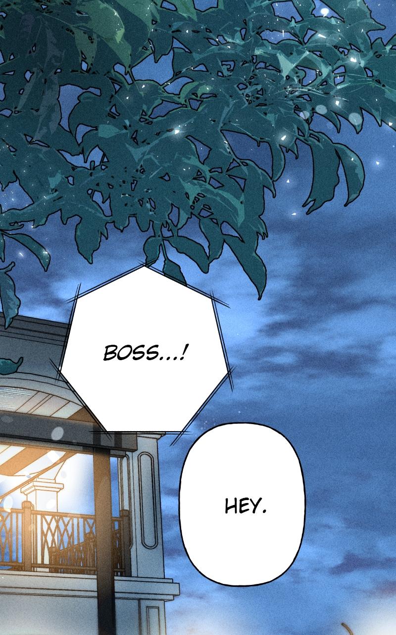 Devilish Son-In-Law Chap 2 - Next Chap 3