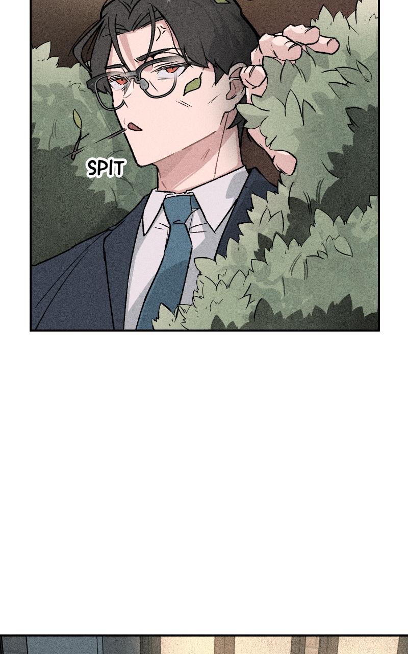 Devilish Son-In-Law Chap 3 - Next Chap 4