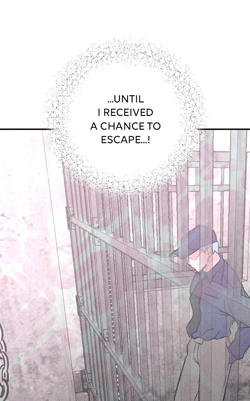 Devilish Son-In-Law Chap 17 - Next Chap 18