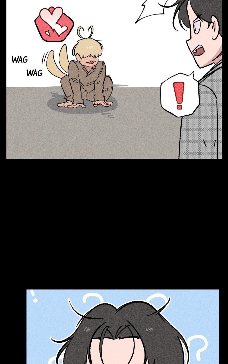 Devilish Son-In-Law Chap 16 - Next Chap 17