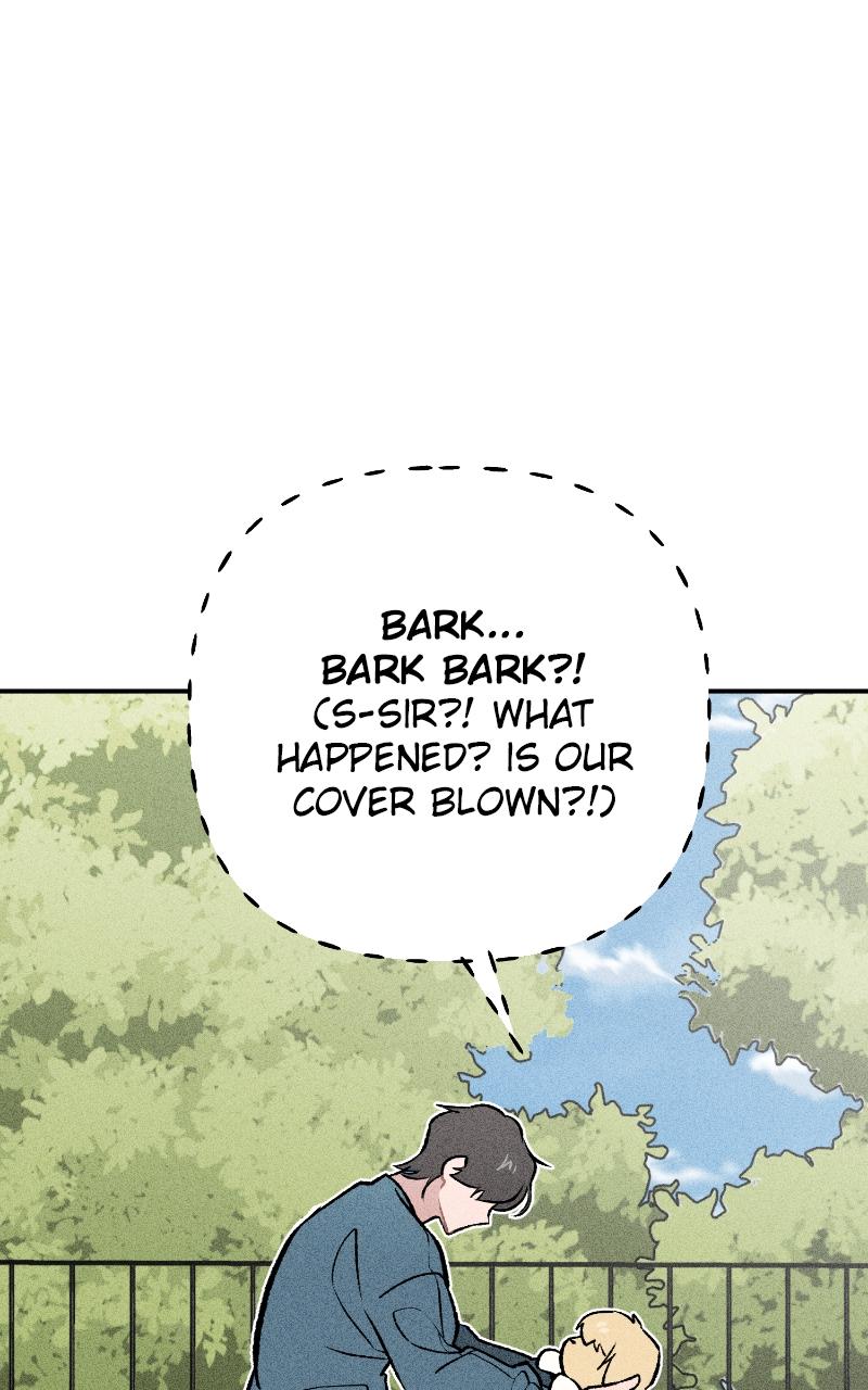 Devilish Son-In-Law Chap 10 - Next Chap 11