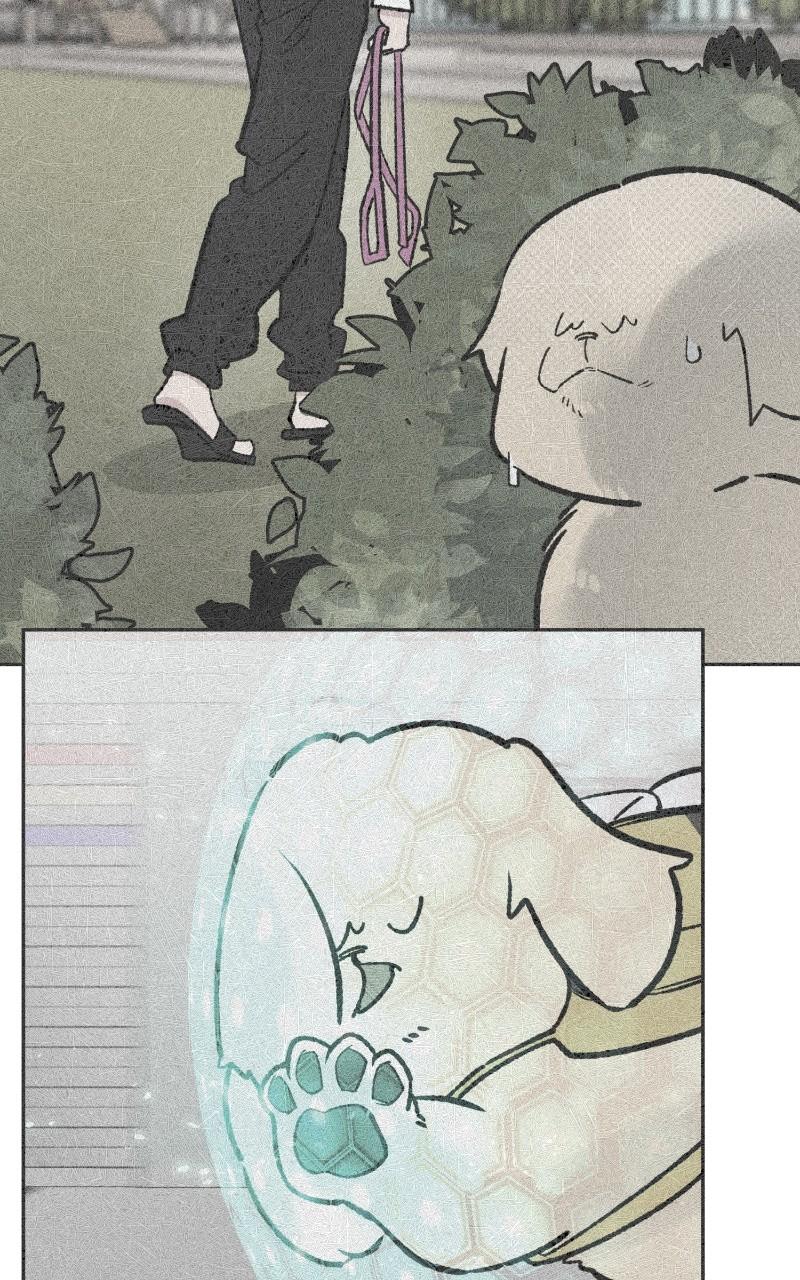 Devilish Son-In-Law Chap 27 - Next Chap 28