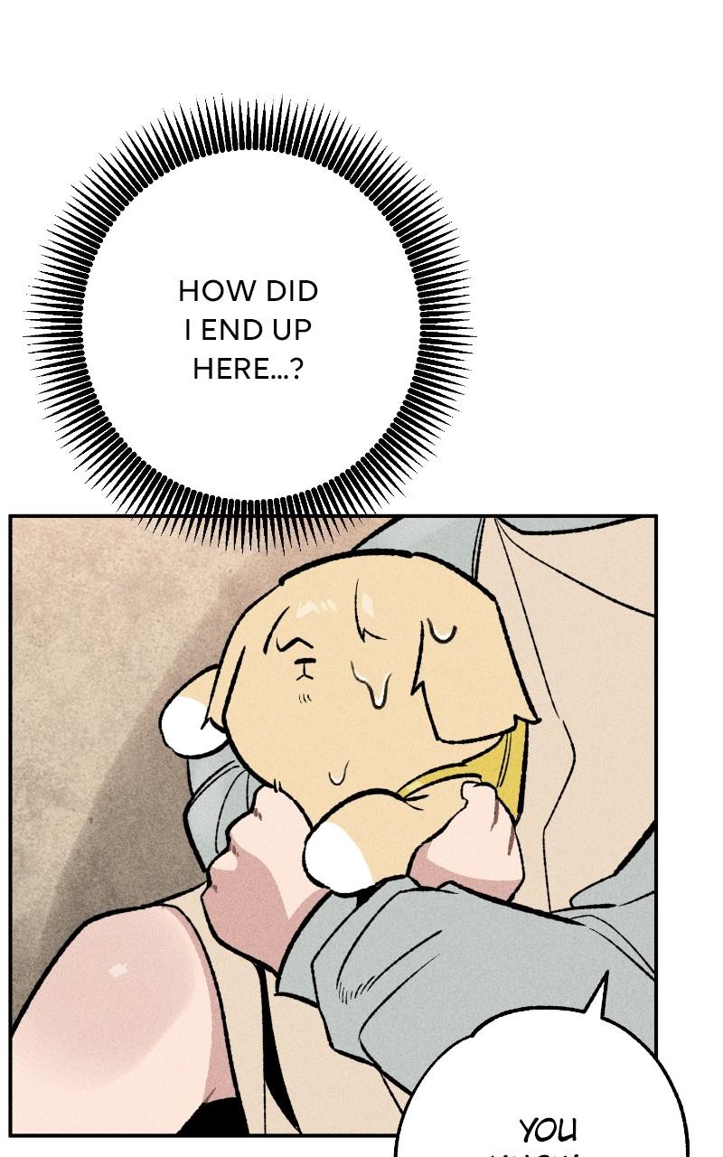 Devilish Son-In-Law Chap 27 - Next Chap 28