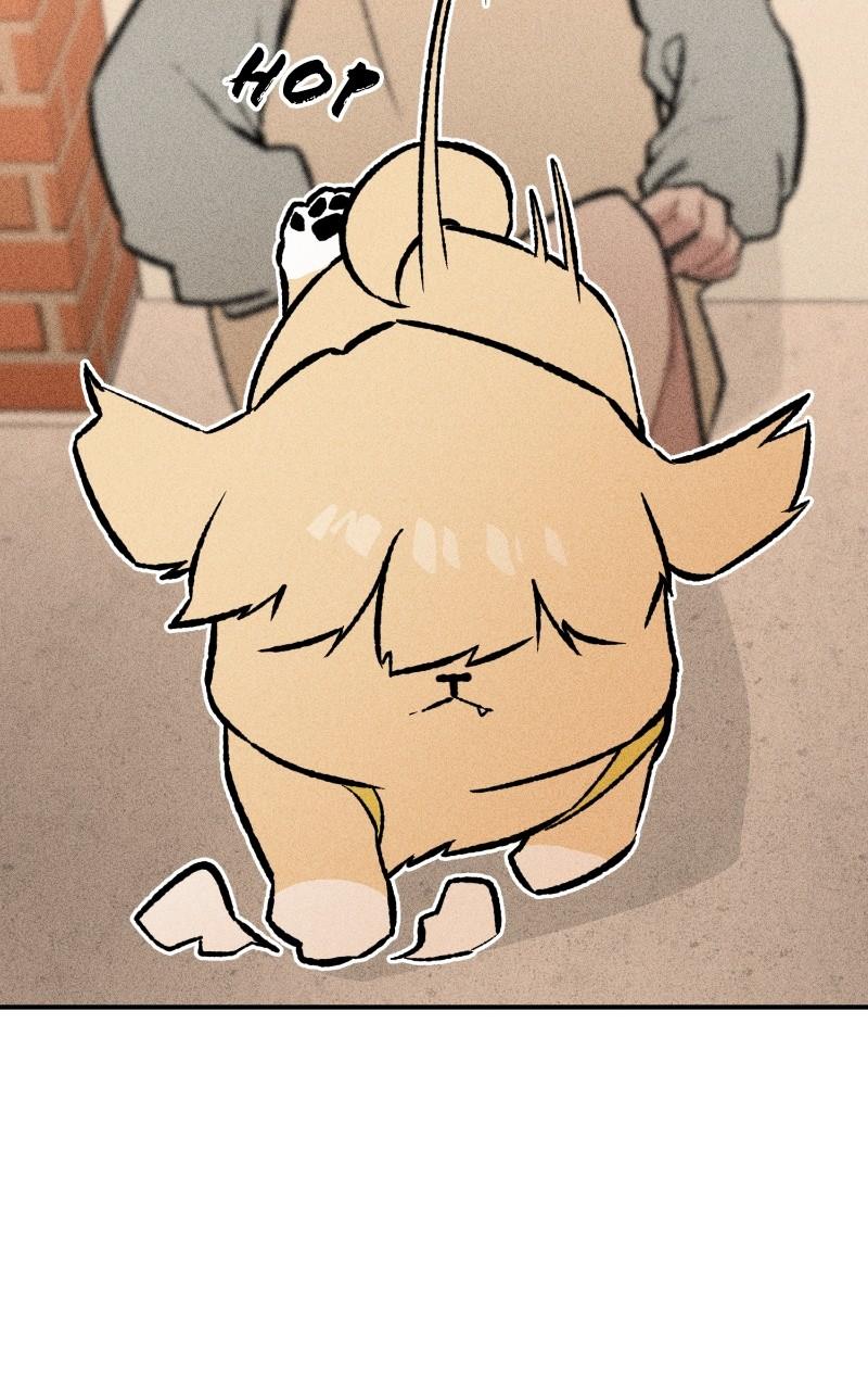 Devilish Son-In-Law Chap 27 - Next Chap 28