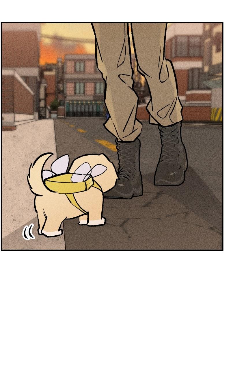 Devilish Son-In-Law Chap 27 - Next Chap 28