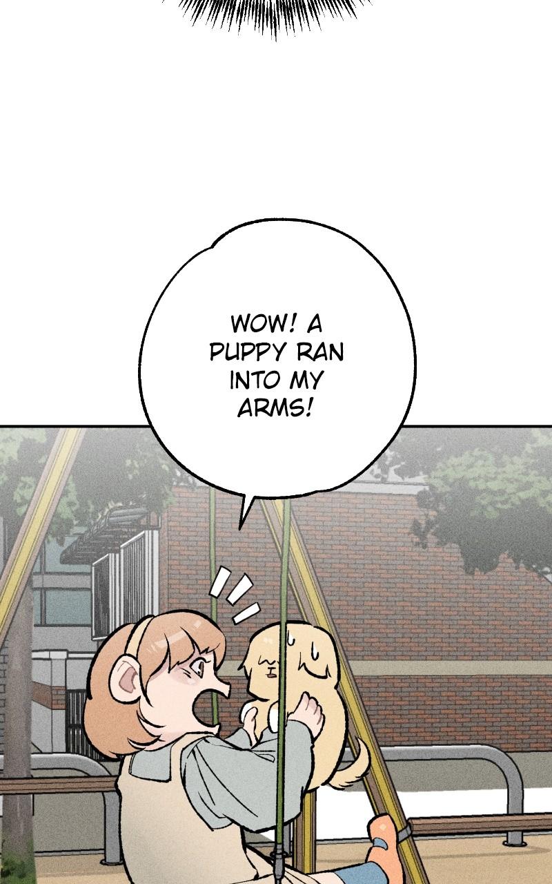 Devilish Son-In-Law Chap 24 - Next Chap 25