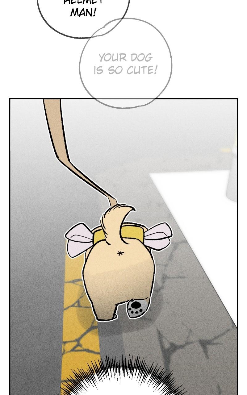 Devilish Son-In-Law Chap 24 - Next Chap 25