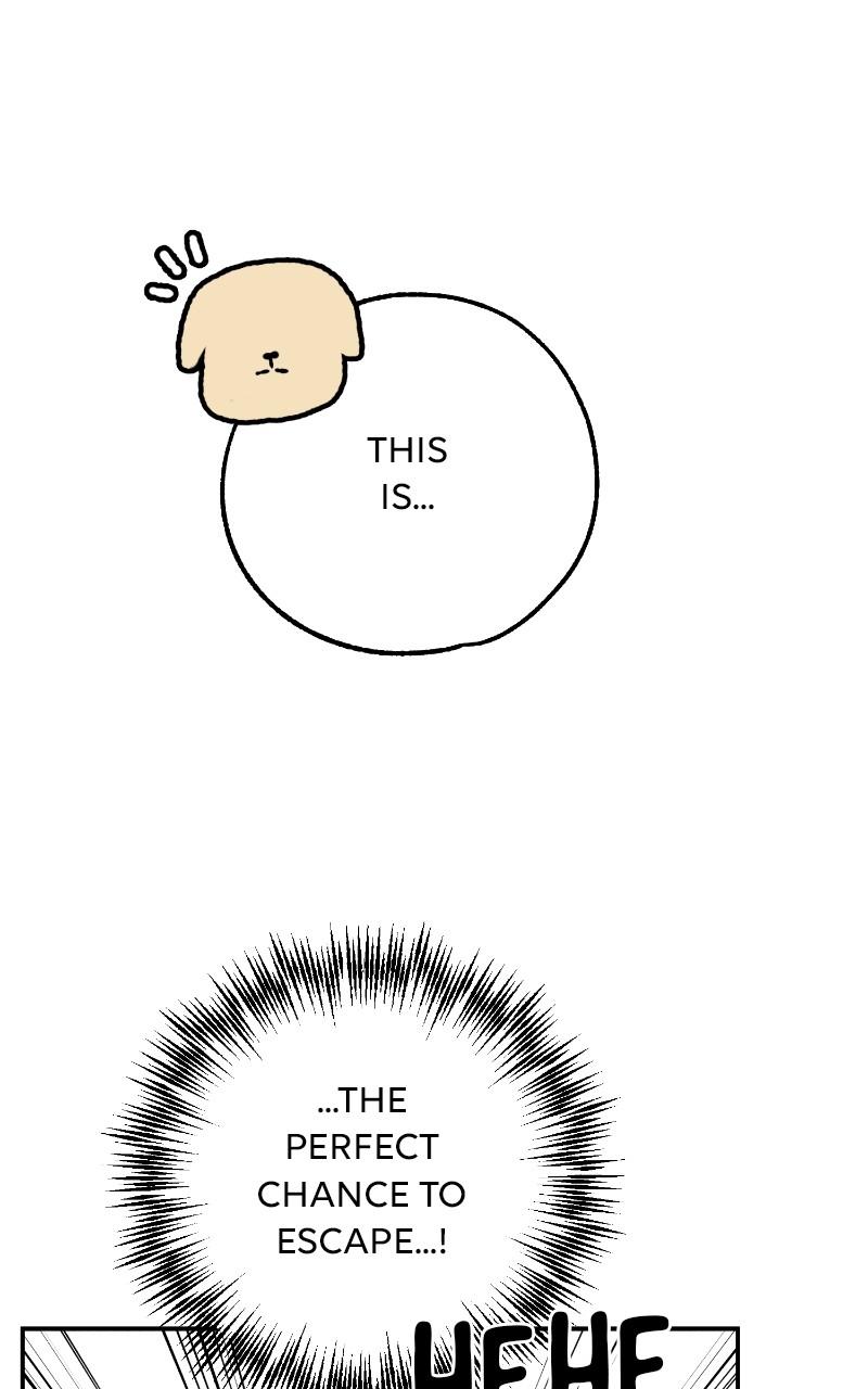 Devilish Son-In-Law Chap 24 - Next Chap 25