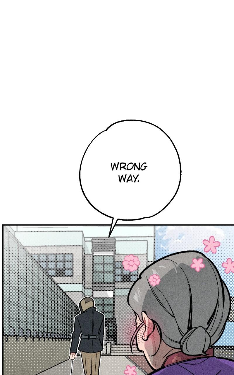 Devilish Son-In-Law Chap 24 - Next Chap 25