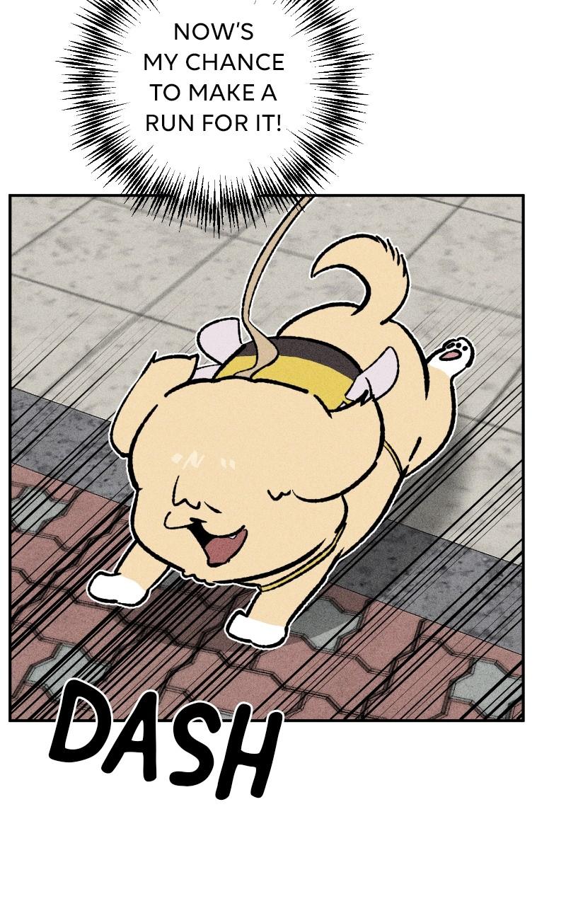 Devilish Son-In-Law Chap 24 - Next Chap 25