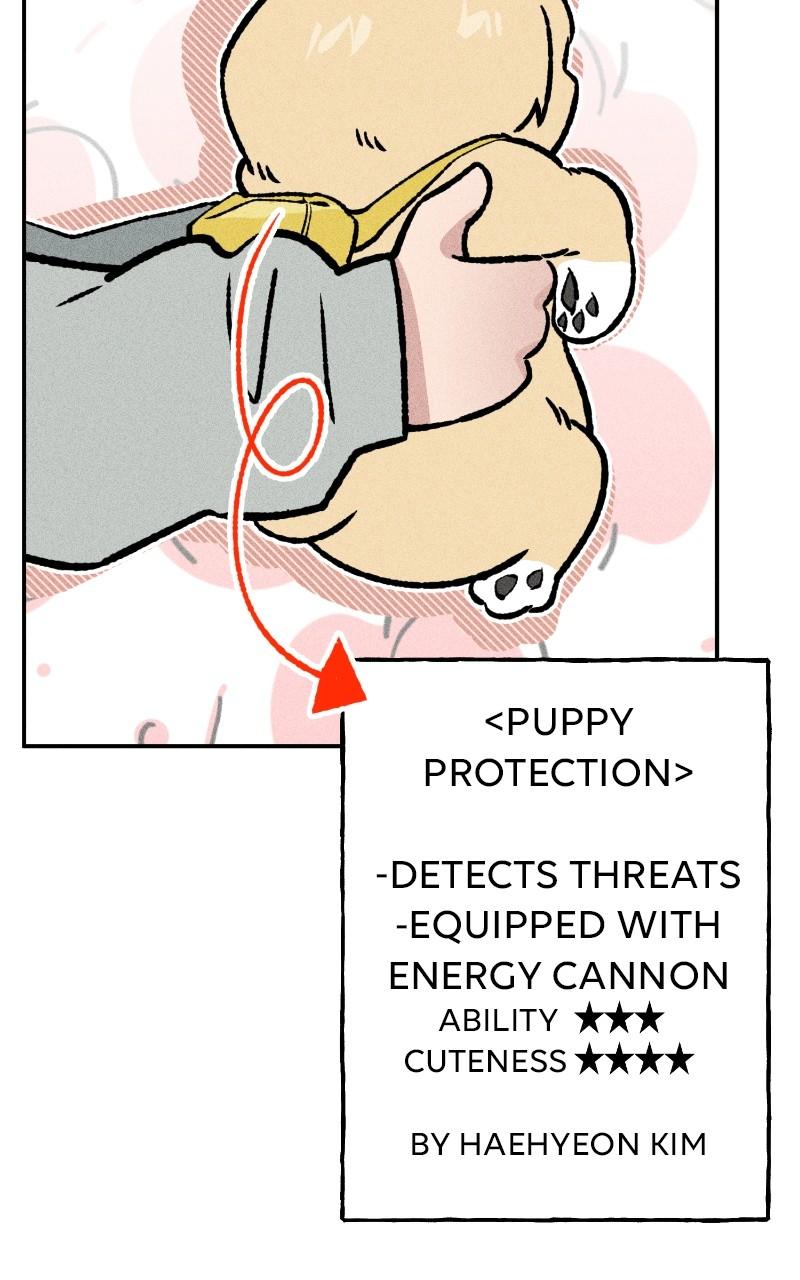 Devilish Son-In-Law Chap 25 - Next Chap 26