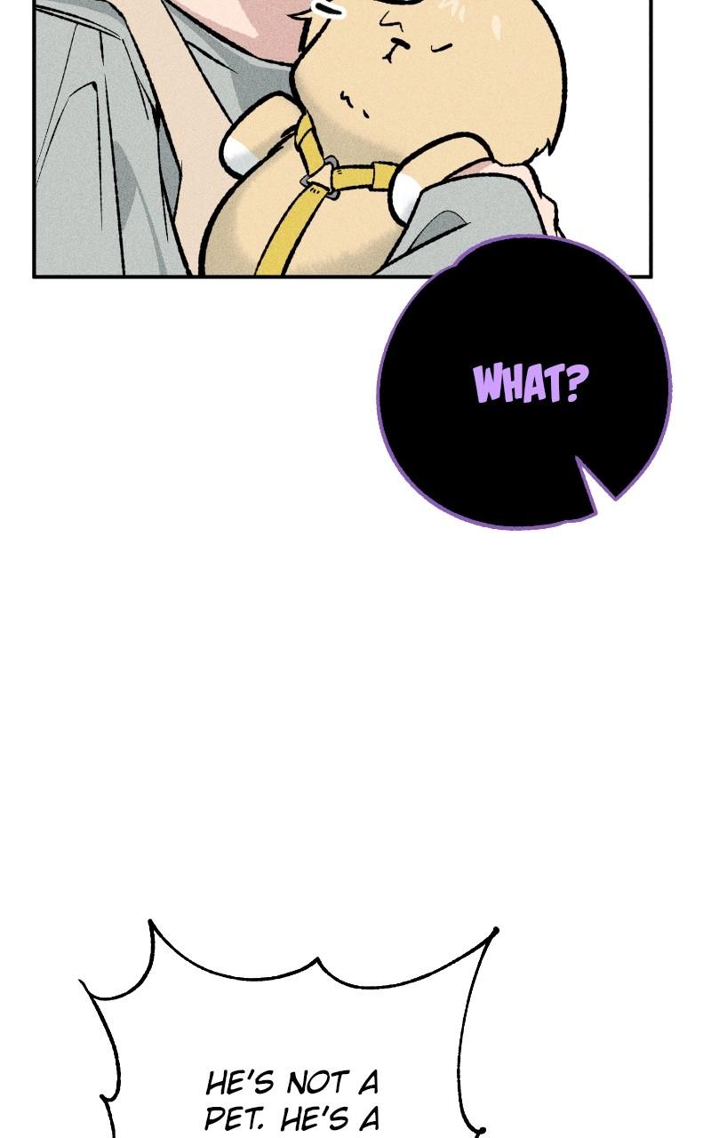 Devilish Son-In-Law Chap 25 - Next Chap 26