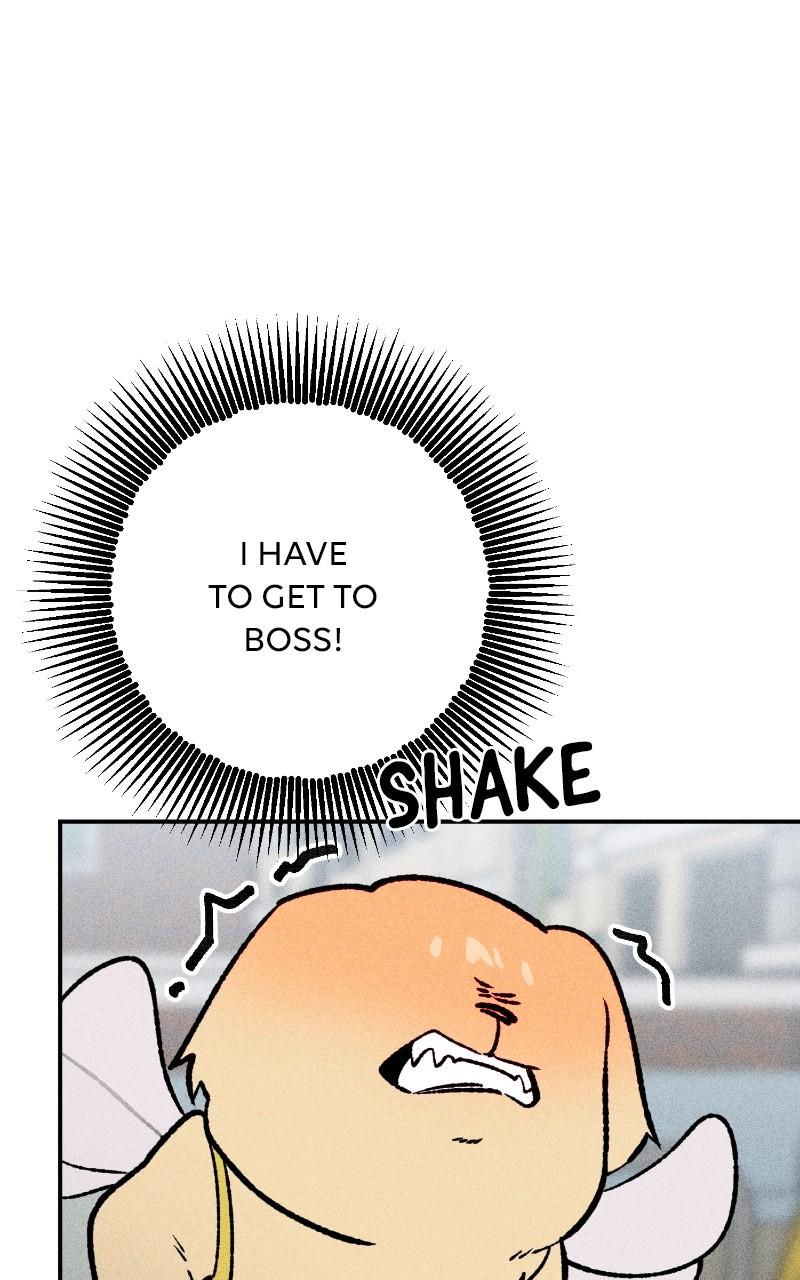 Devilish Son-In-Law Chap 25 - Next Chap 26