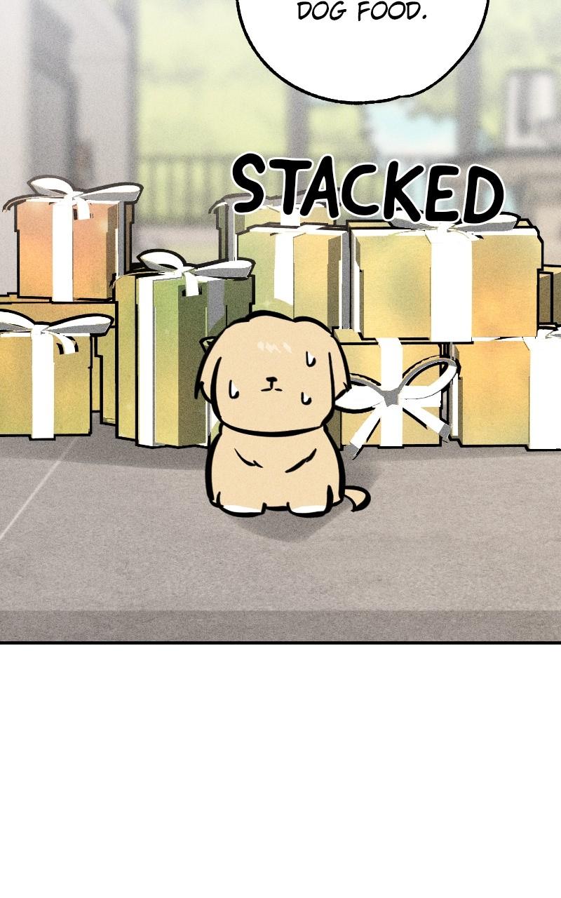 Devilish Son-In-Law Chap 26 - Next Chap 27