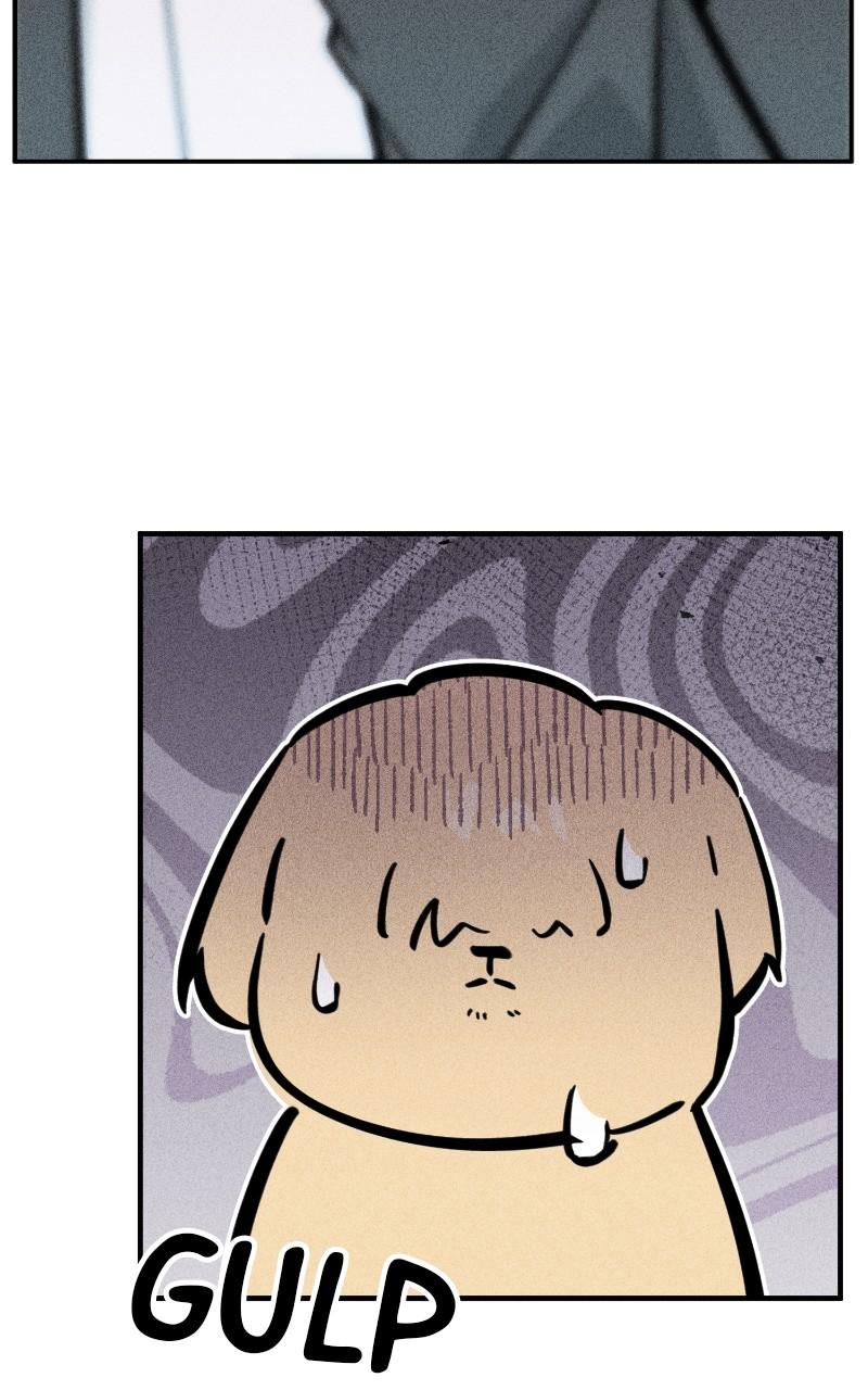 Devilish Son-In-Law Chap 26 - Next Chap 27