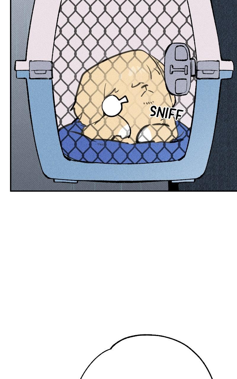 Devilish Son-In-Law Chap 28 - Next Chap 29