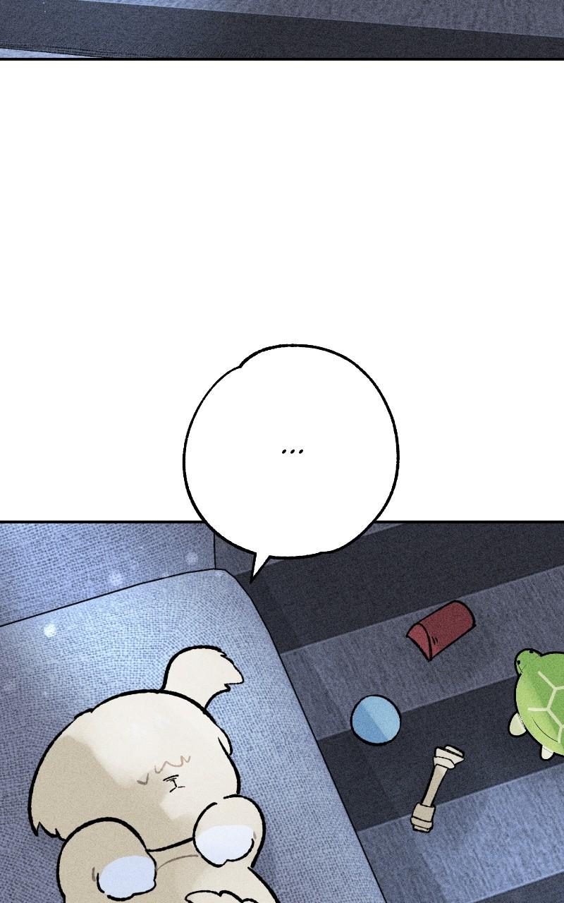 Devilish Son-In-Law Chap 22 - Next Chap 23