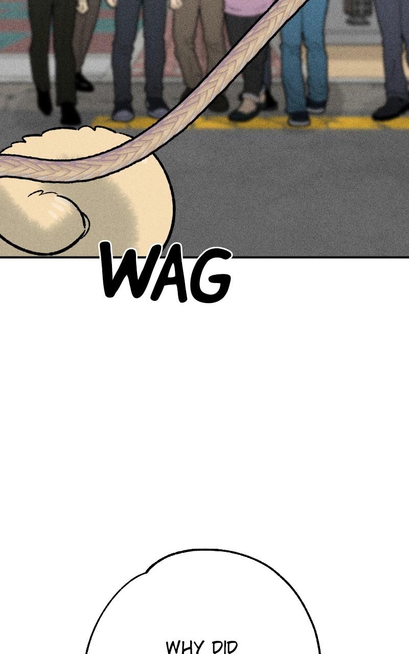 Devilish Son-In-Law Chap 23 - Next Chap 24