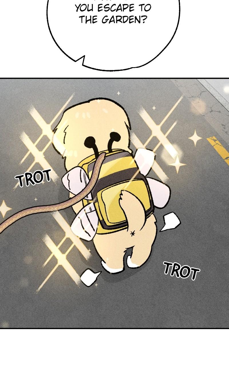 Devilish Son-In-Law Chap 23 - Next Chap 24