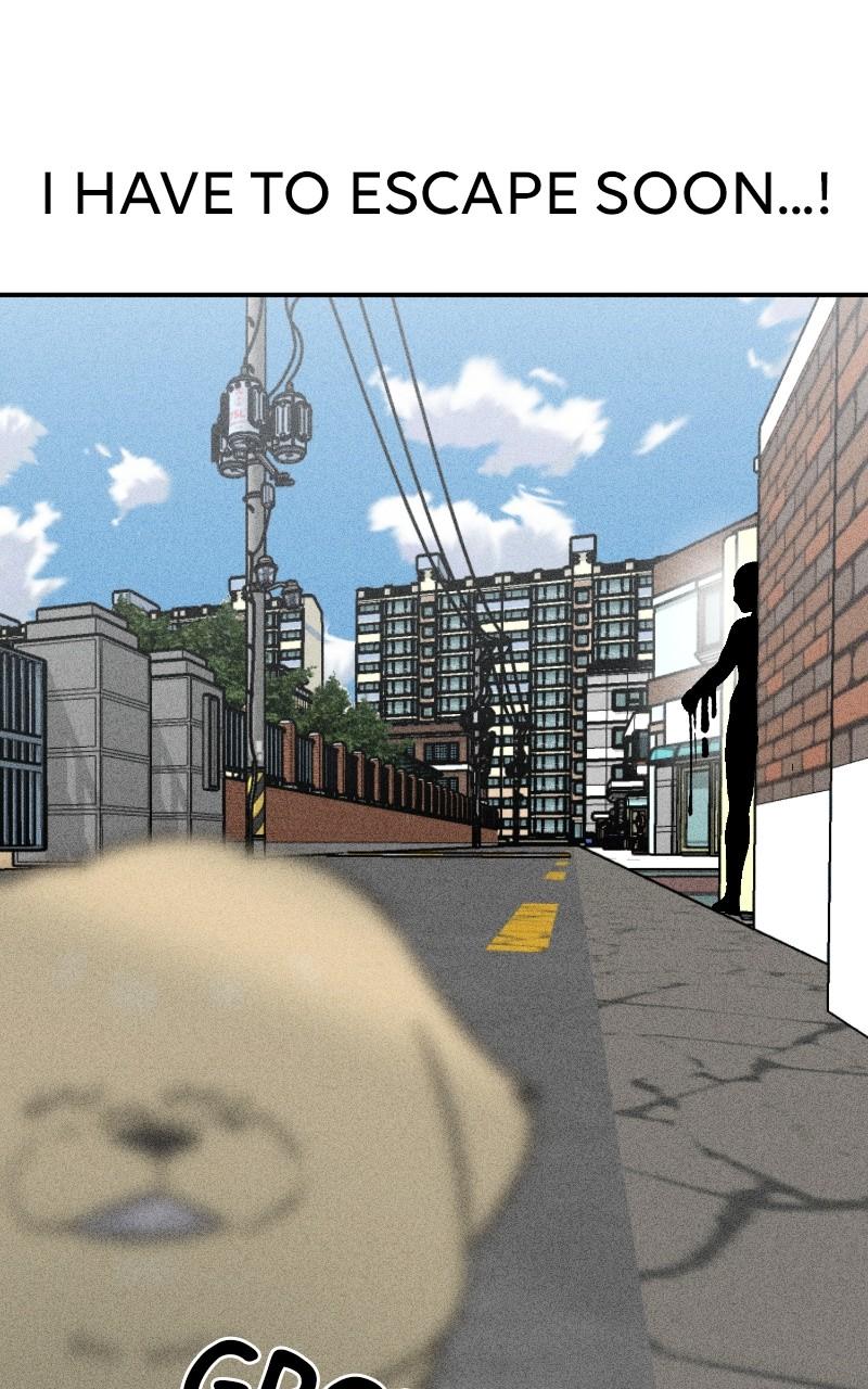 Devilish Son-In-Law Chap 23 - Next Chap 24