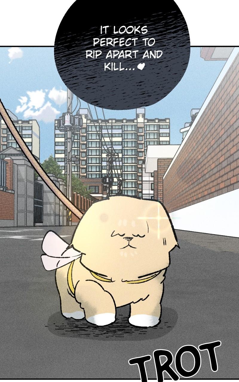 Devilish Son-In-Law Chap 23 - Next Chap 24