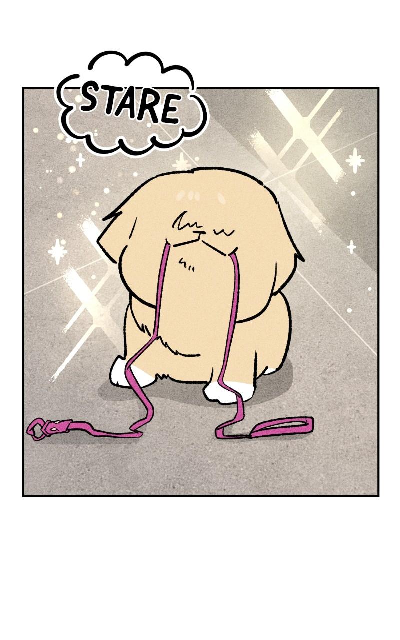 Devilish Son-In-Law Chap 23 - Next Chap 24