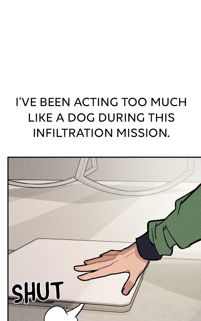 Devilish Son-In-Law Chap 23 - Next Chap 24