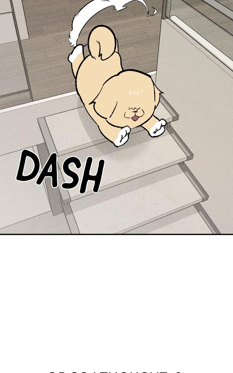 Devilish Son-In-Law Chap 23 - Next Chap 24