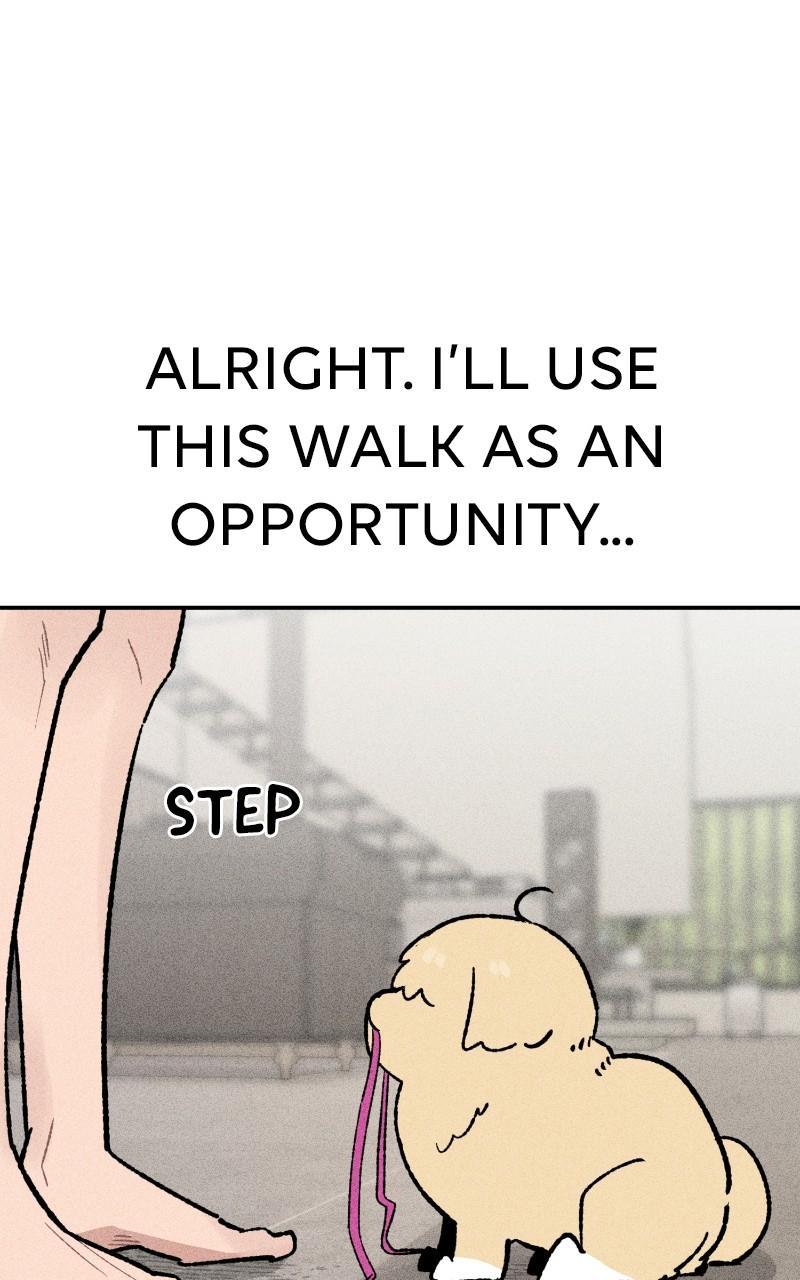 Devilish Son-In-Law Chap 23 - Next Chap 24