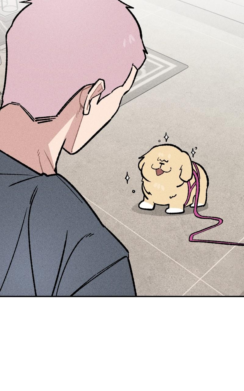 Devilish Son-In-Law Chap 23 - Next Chap 24