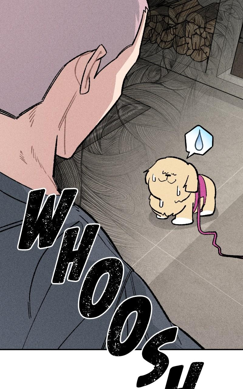 Devilish Son-In-Law Chap 23 - Next Chap 24