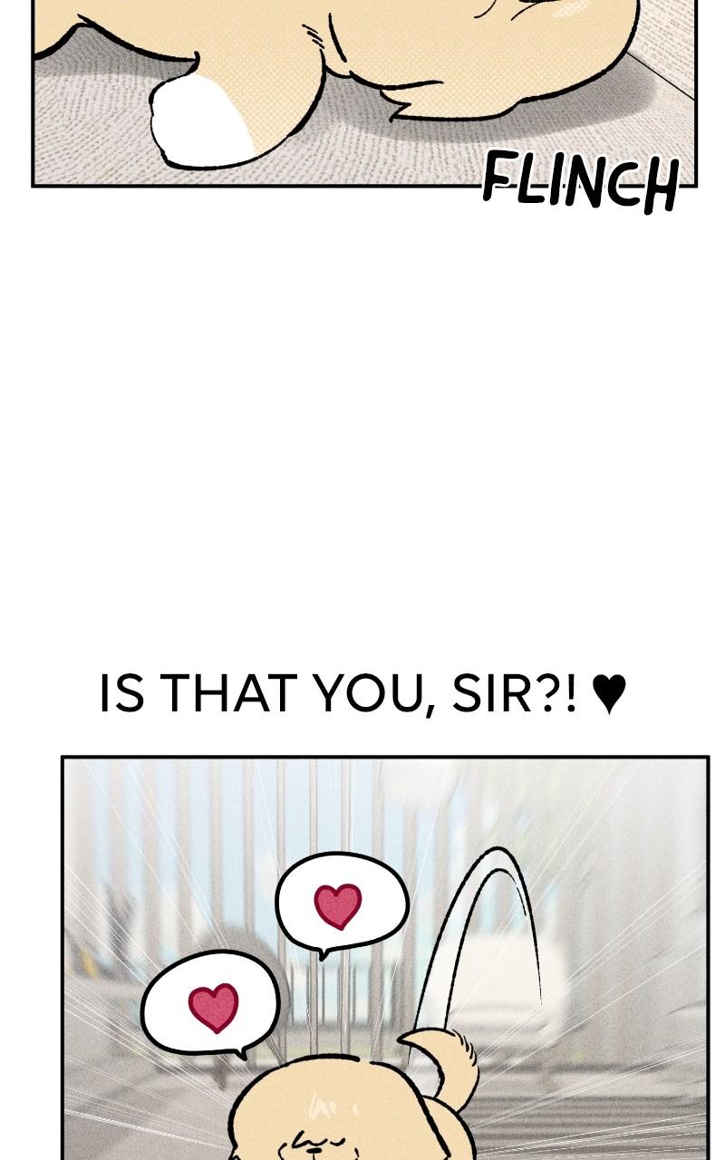 Devilish Son-In-Law Chap 23 - Next Chap 24