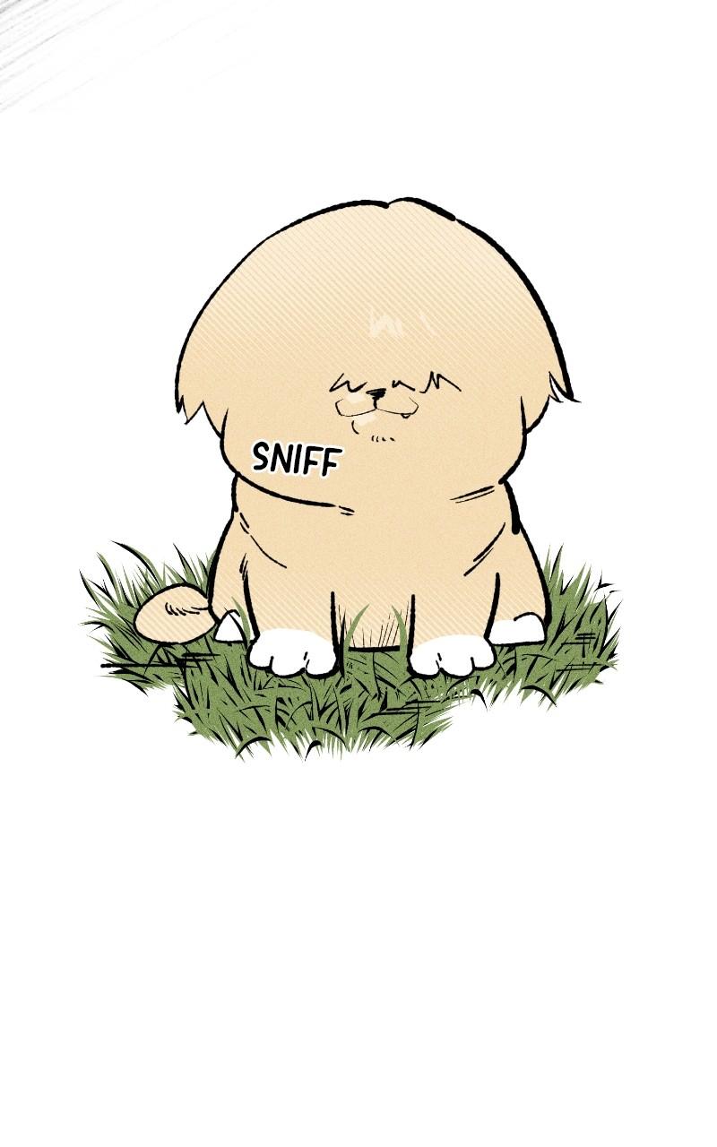 Devilish Son-In-Law Chap 23 - Next Chap 24