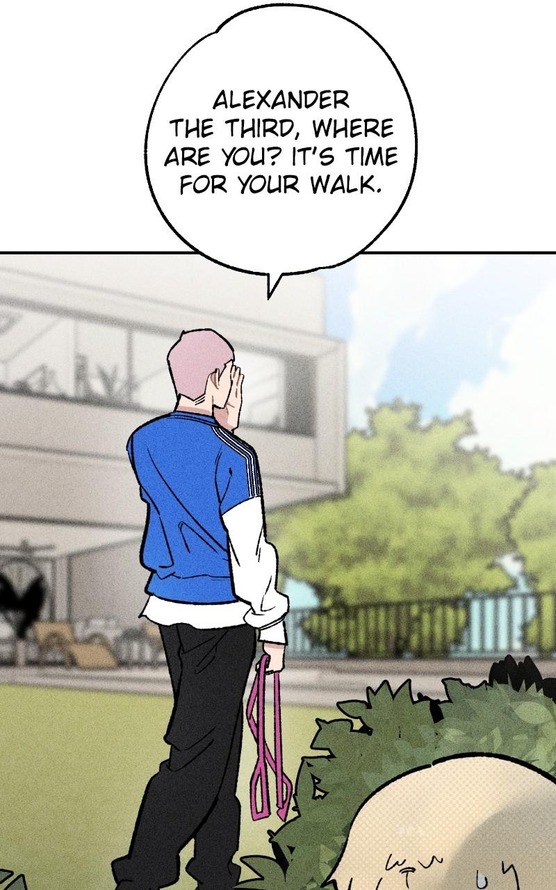 Devilish Son-In-Law Chap 23 - Next Chap 24