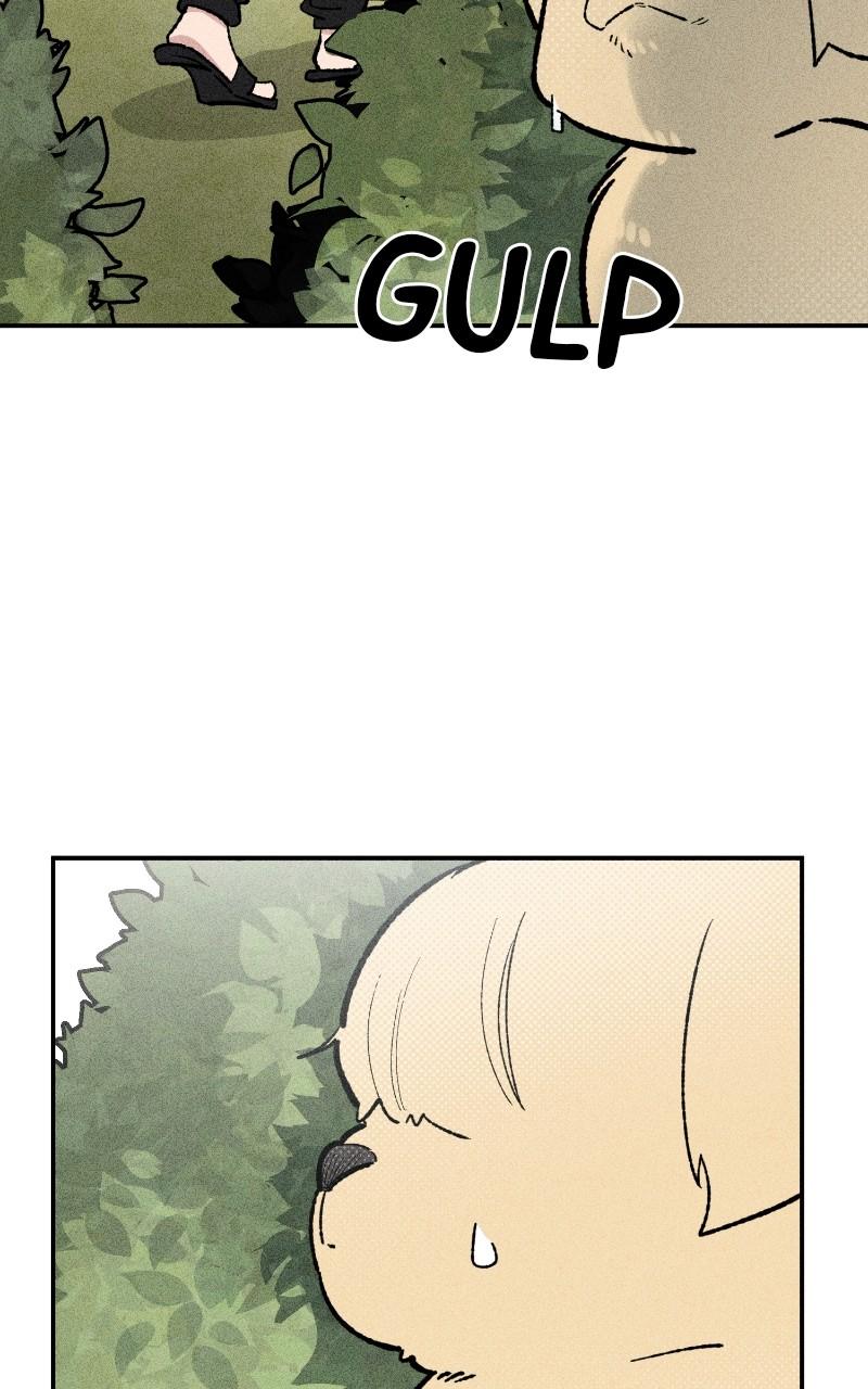 Devilish Son-In-Law Chap 23 - Next Chap 24