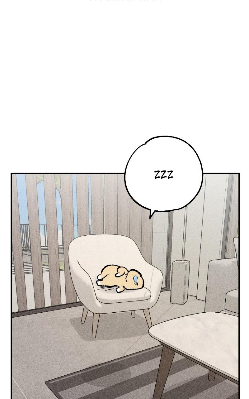 Devilish Son-In-Law Chap 23 - Next Chap 24