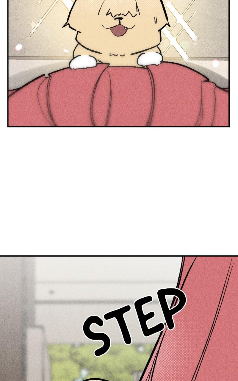 Devilish Son-In-Law Chap 23 - Next Chap 24