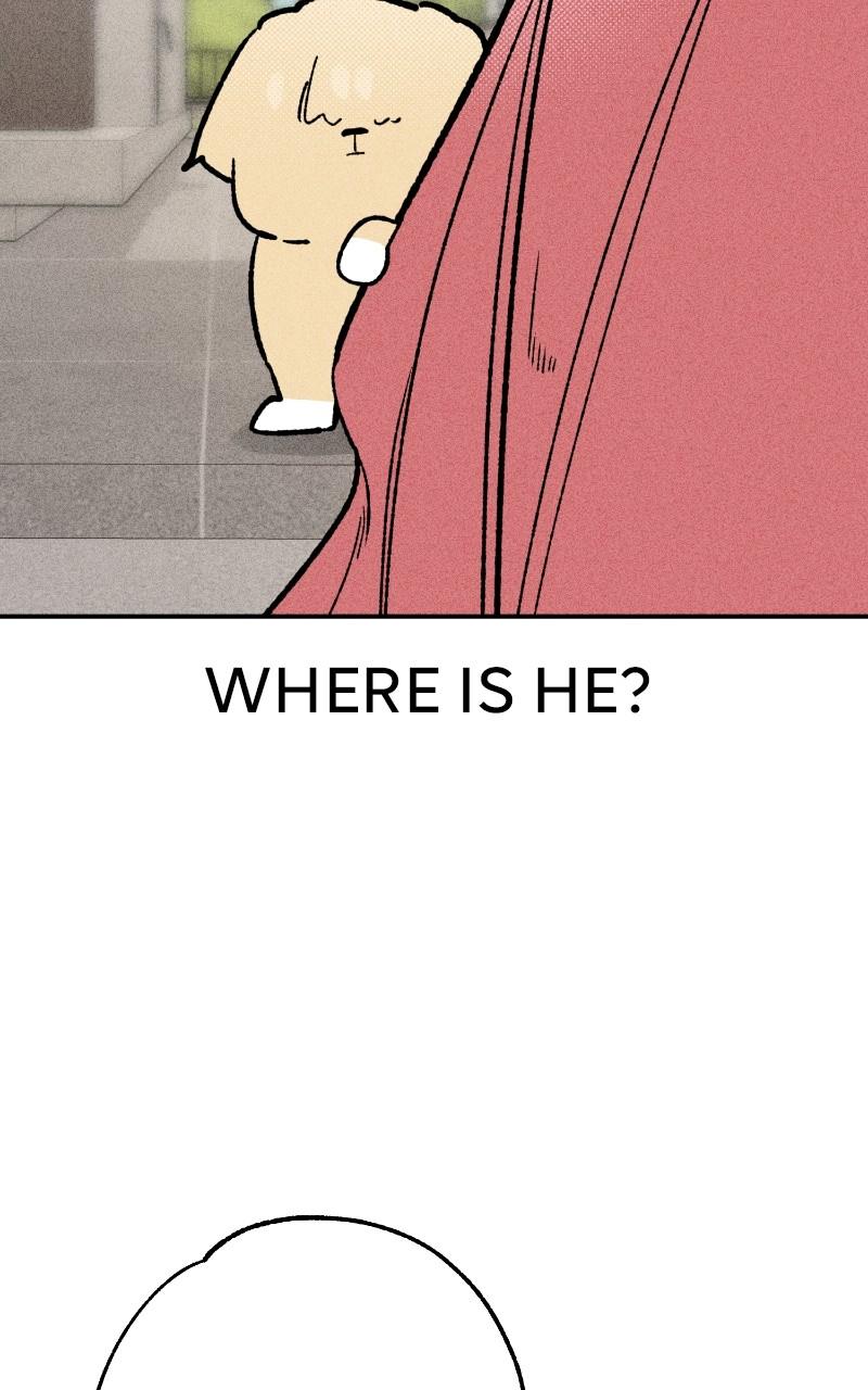 Devilish Son-In-Law Chap 23 - Next Chap 24