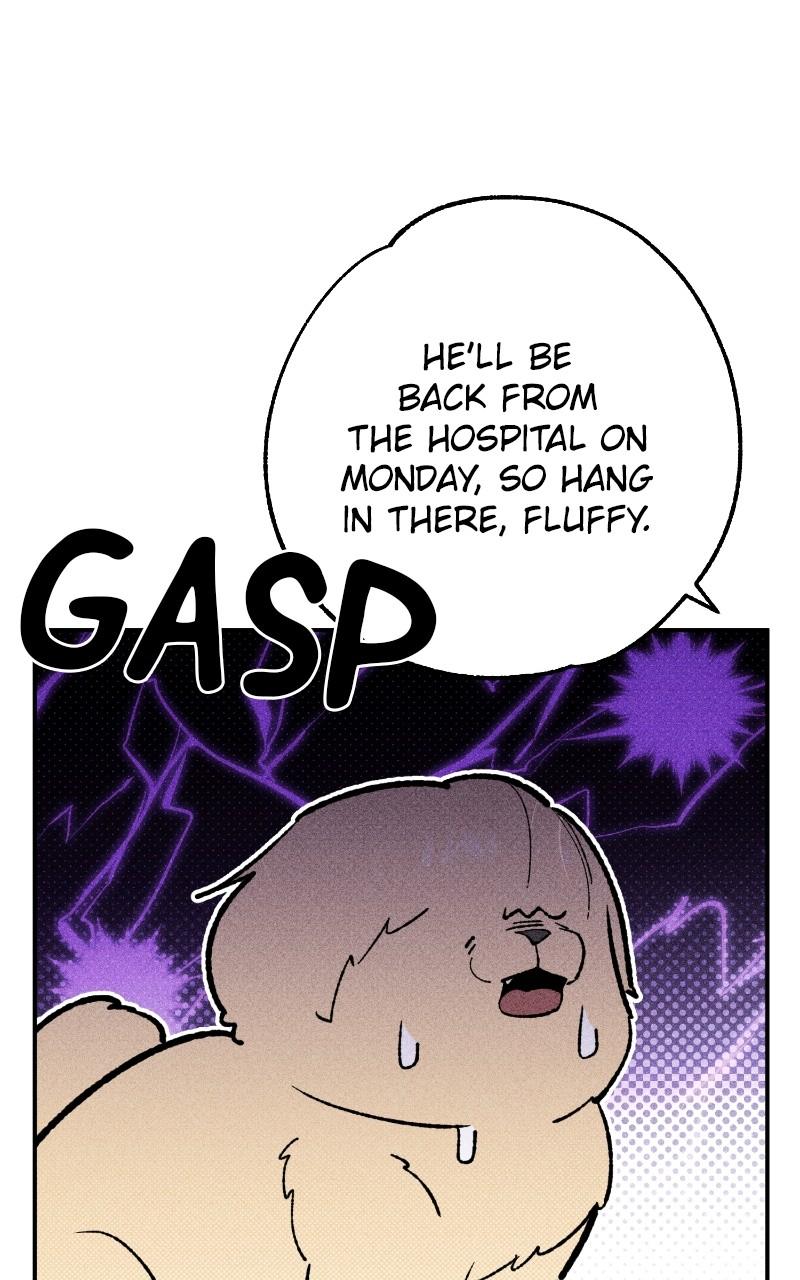 Devilish Son-In-Law Chap 23 - Next Chap 24