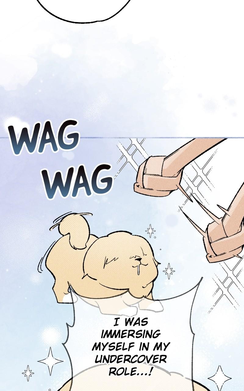 Devilish Son-In-Law Chap 23 - Next Chap 24