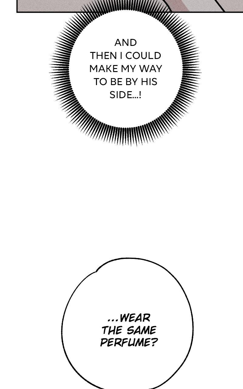 Devilish Son-In-Law Chap 34 - Next Chap 35