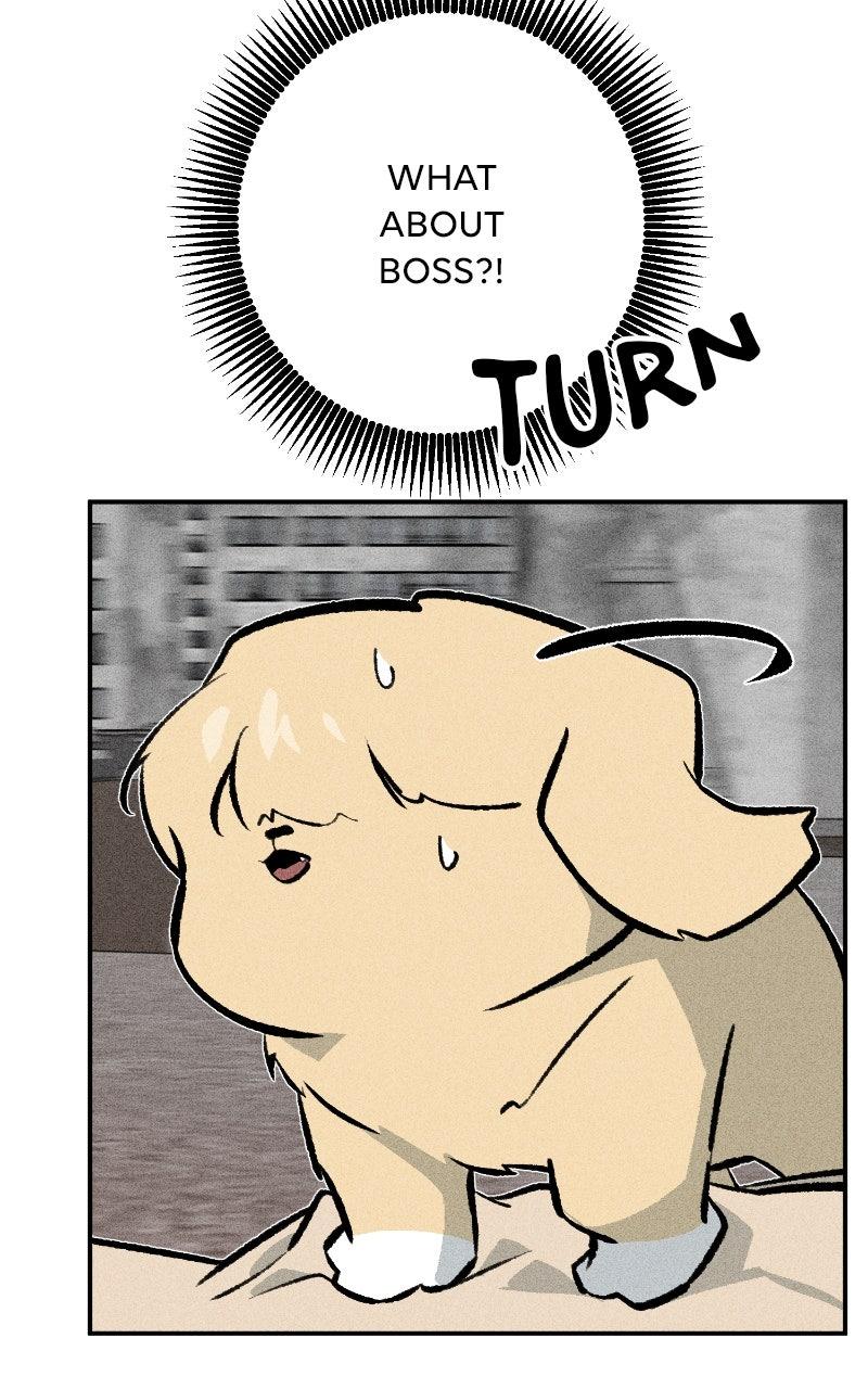 Devilish Son-In-Law Chap 45 - Next Chap 46