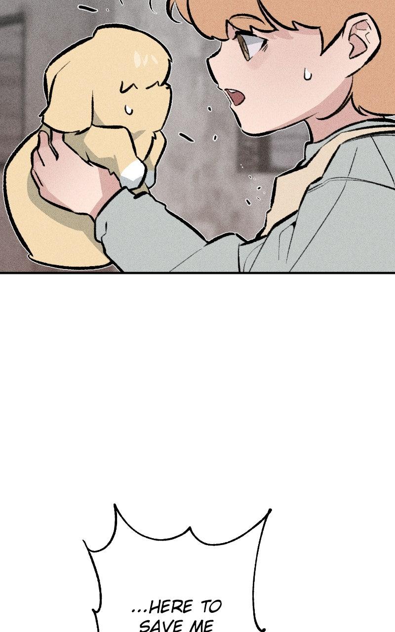 Devilish Son-In-Law Chap 45 - Next Chap 46