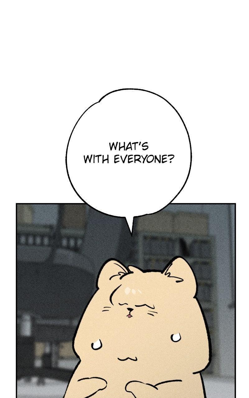 Devilish Son-In-Law Chap 40 - Next Chap 41