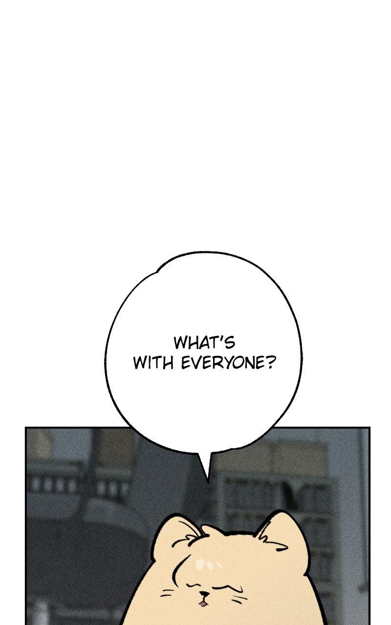 Devilish Son-In-Law Chap 41 - Next Chap 42