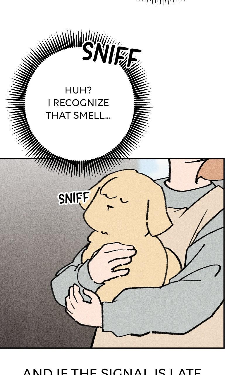 Devilish Son-In-Law Chap 55 - Next Chap 56