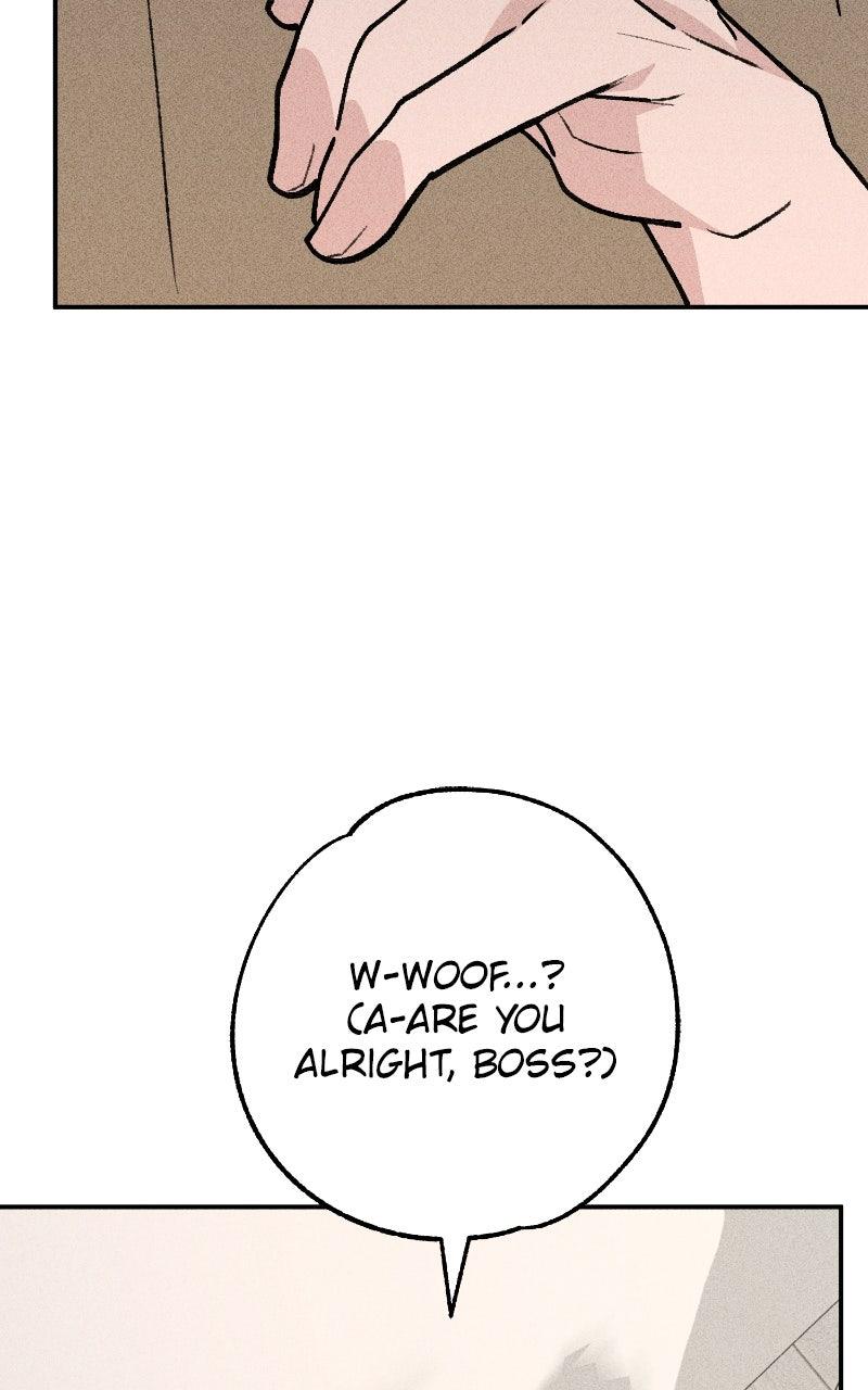 Devilish Son-In-Law Chap 50 - Next Chap 51