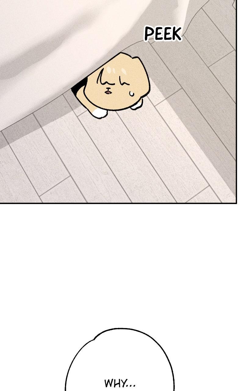 Devilish Son-In-Law Chap 50 - Next Chap 51