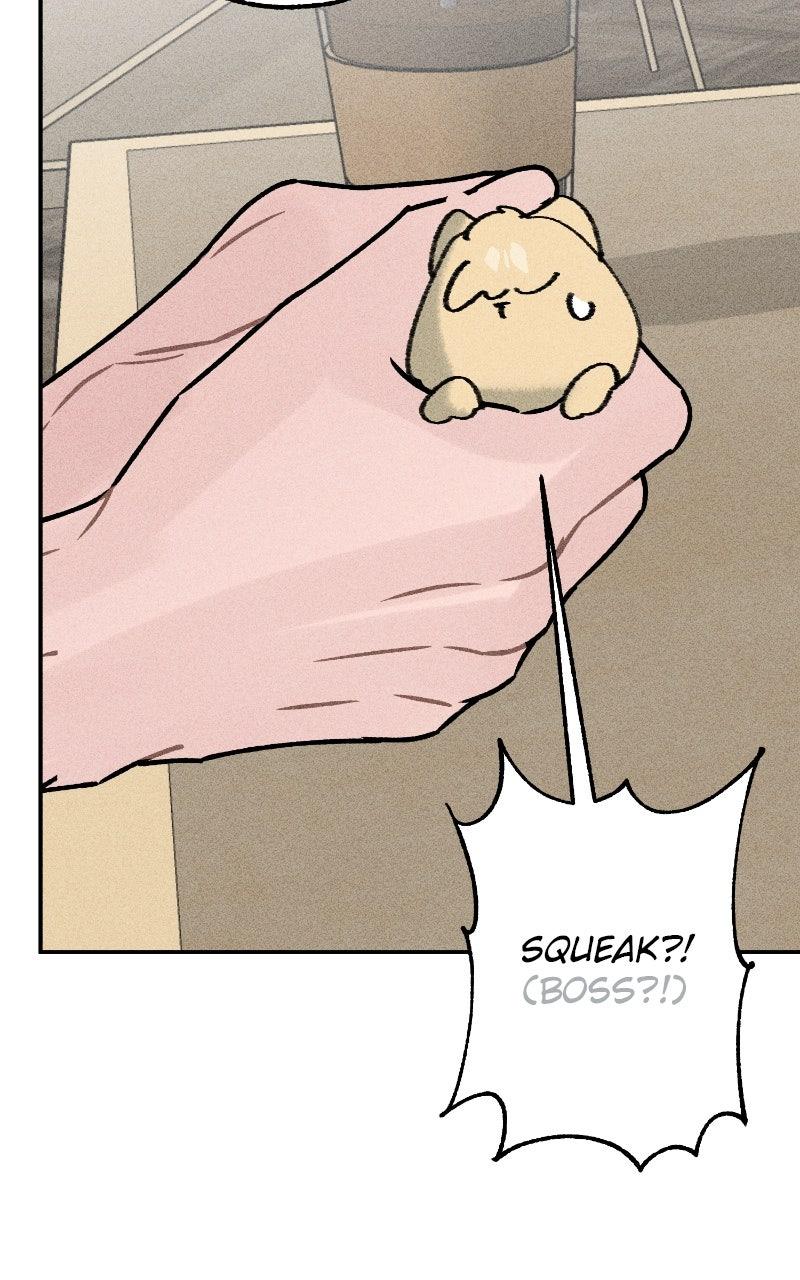 Devilish Son-In-Law Chap 51 - Next Chap 52