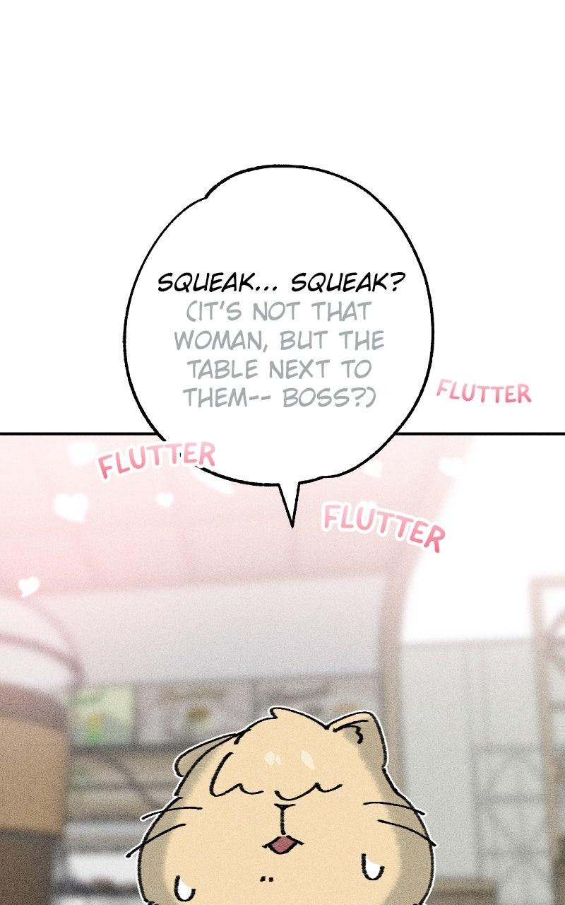 Devilish Son-In-Law Chap 51 - Next Chap 52